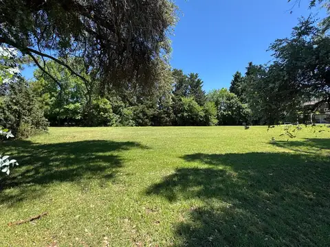 TERRENO CENTRAL
