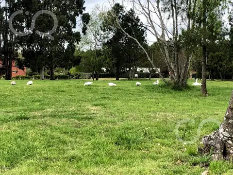 Terreno en Venta de 1472,0 m2