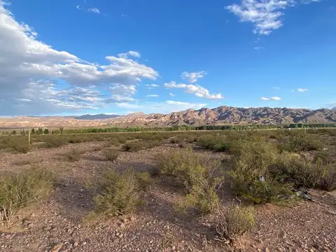 Venta de Terreno en Altos del Valle, Uspallata