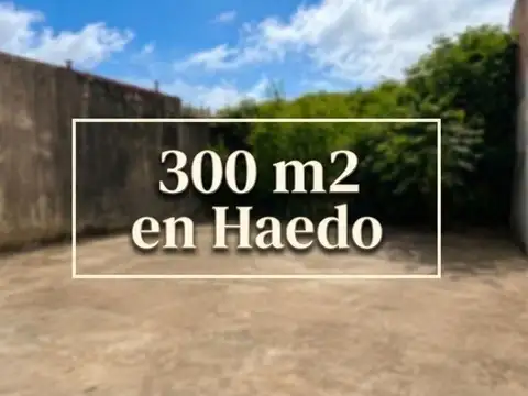 VENTA LOTE HAEDO OPORTUNIDAD 300 m2