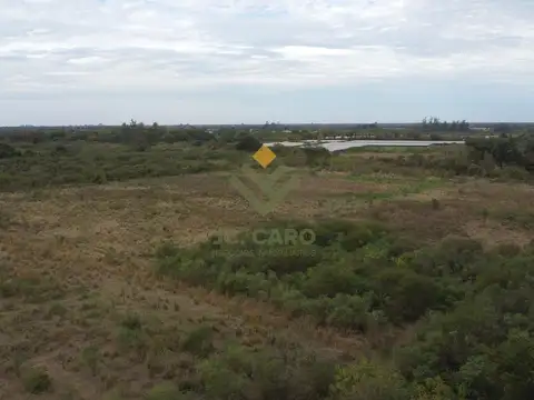 Campo Hortícola en Venta en Apolinario Saravia