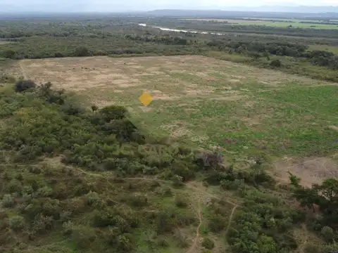 Campo Hortícola en Venta en Apolinario Saravia