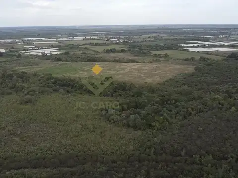 Campo Hortícola en Venta en Apolinario Saravia