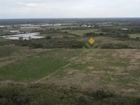 Campo en Venta en Apolinario Saravia, Anta