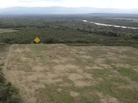 Ruta Vieja