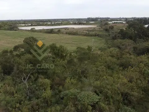 Ruta Vieja