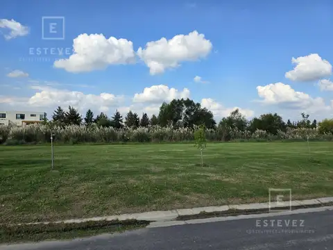 Lote interno con fondo a espacio verde común