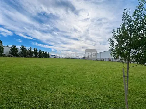 Terreno Industrial 4.921 m² en Venta – Polo Industrial Ezeiza