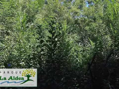 Terreno en Venta en Villa Giardino, USD 150.000