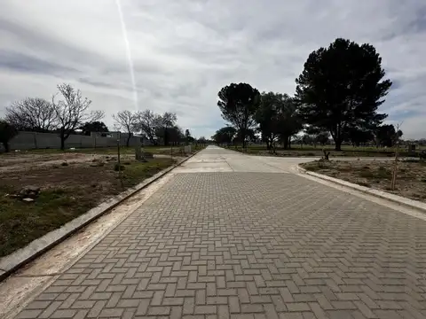 Terreno en Venta 25,50  mts Fondo