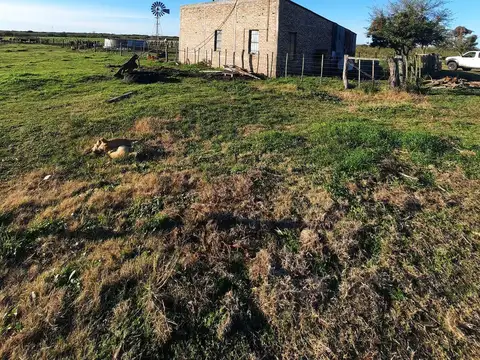 Campo en Gualeguaychu