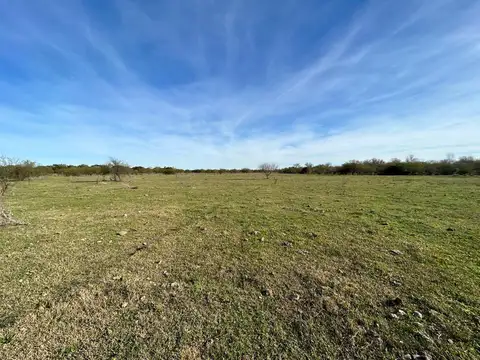 Campo Costa Uruguay sur  - 230 Has