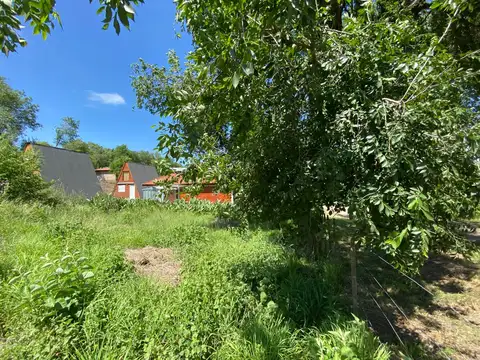 Terreno en Venta 40  mts Fondo
