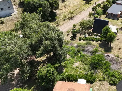 Bella Vista 100