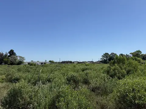 Terreno en Venta de 3620,0 m2