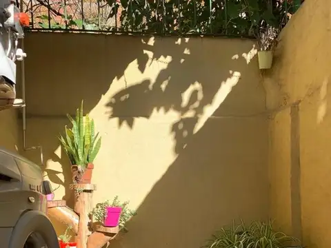 Fragio 100