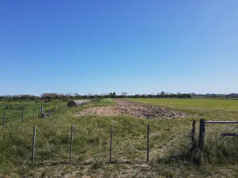 Campo en Venta de 3,60  ha