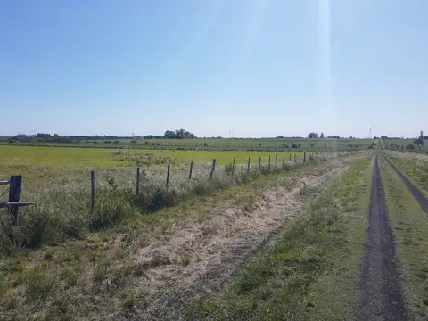 Campo en Venta Chacra
