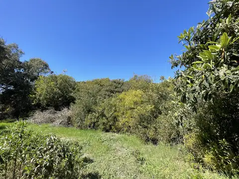 Terreno en Venta, FOS 0,4