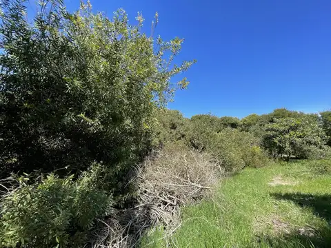 Terreno en Venta 47  mts Fondo