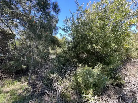 Terreno en Venta 20  mts Frente