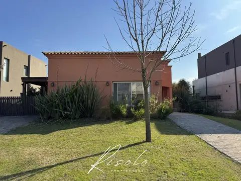 Puertos / Araucarias al 100. Lote Interno. Maschwitz