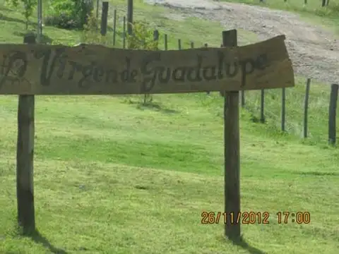 VENTA TERRENO TRAPICHE