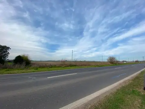 Ruta Provincial 21