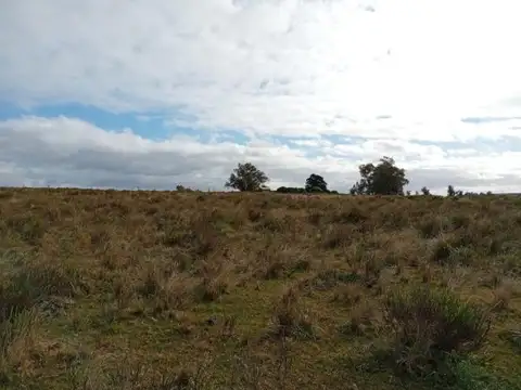 Ruta 9 y 12