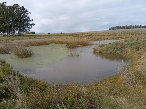 Chacra en Venta en Camino a Laguna del Sauce, Maldonado
