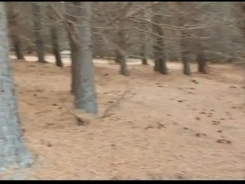 EQUIPO RE/MAX VENDE LOTE RD09 EL REMANSO 868M2.