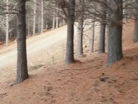 Ruta Nacional 40 2200