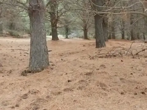 Terreno en Venta en San Martin de los Andes, USD 39.000