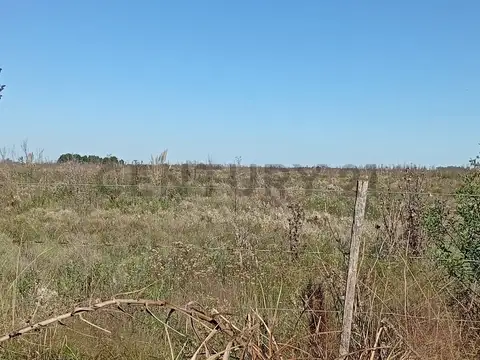 Campo/Fracción en General Rodríguez VENTA en block o en lotes. Desarrollo Inmobi