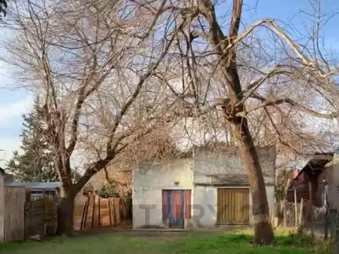 146 Entre 52 y 54 , Piso 0