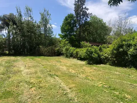 LOTE AL AGUA CUBE 100