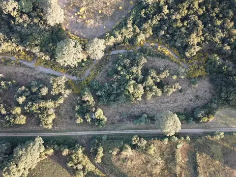 Terreno en Venta en Ceibal, USD 14.000