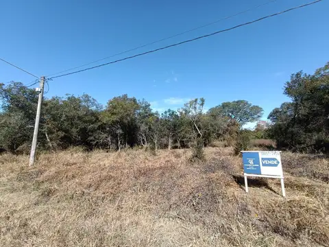 VENTA TERRENO LAS DELICIAS MZA 59 L12
