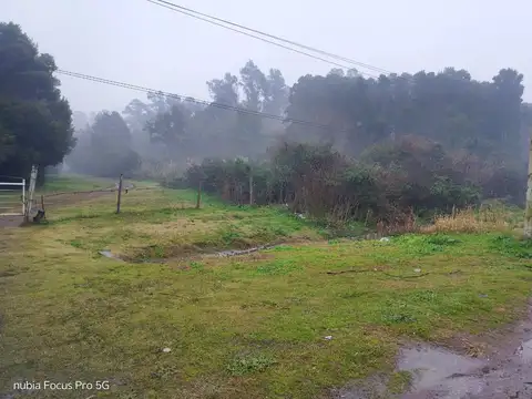 Avenida Dardo Rocha 8000