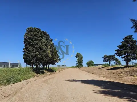 RUTA 101