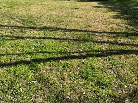 corredor bancalari  al 3900