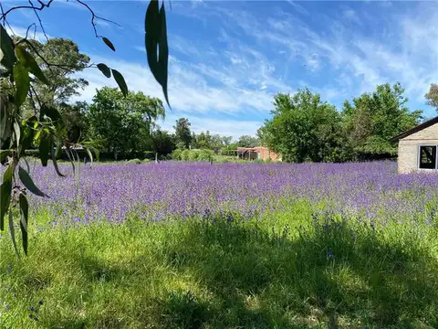 Terreno en Venta 40  mts Fondo