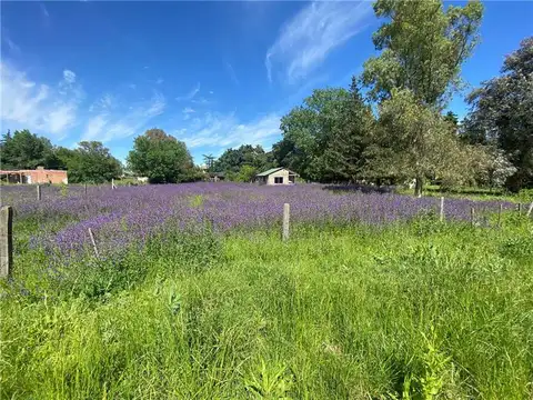 Terreno en Venta en Exaltacion De La Cruz, USD 37.500