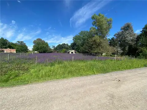 TERRENOS/FRACCIONES/LOTEOS - TERRENOS - EXALTACIÓN DE LA CRUZ