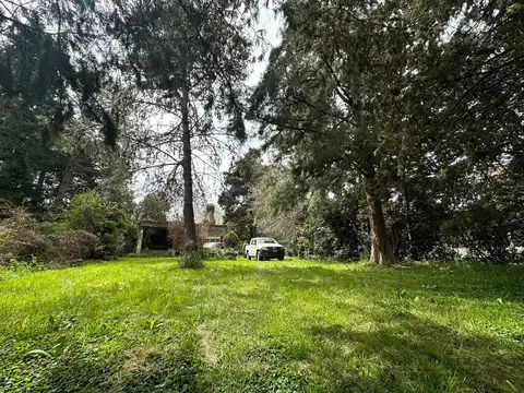 Quinta en Venta en Juan Maria Gutierrez, USD 75.000