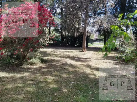 Casa  4 amb. /  Quinta  1200 m2 de terreno -  BERAZATEGUI - VENTA