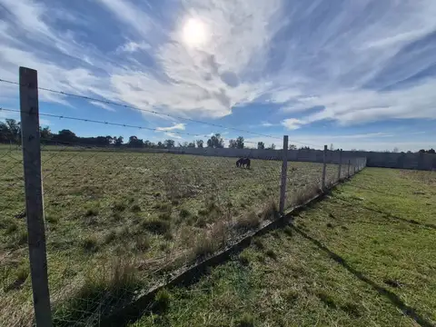 Terreno en Venta de 980,0 m2