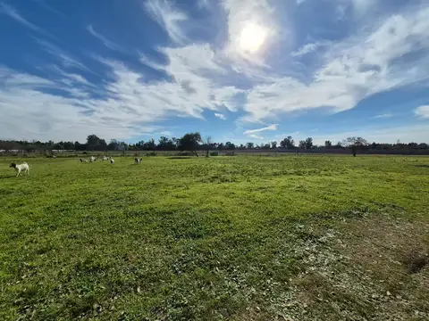 Terreno en Venta en Villa Rosa, USD 29.900
