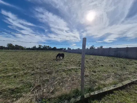 Terreno en Venta de 980,0 m2