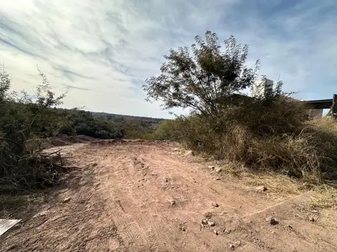 Cerro Lanín 1500